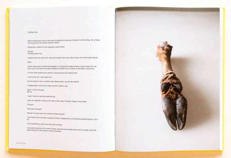 Jonathan_Blaustein-Extinction_Party_5