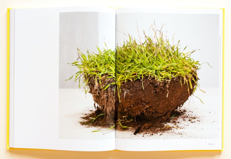 Jonathan_Blaustein-Extinction_Party_6