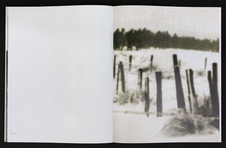 Pace-Wirtz_Images_in_Transition_plate_32