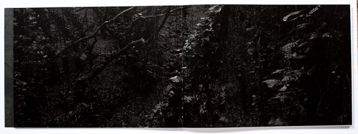 Matt_Shallenberger_The_Leaping_Place_2