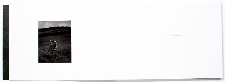 Matt_Shallenberger_The_Leaping_Place_6