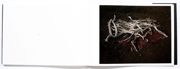 Matt_Shallenberger_The_Leaping_Place_8