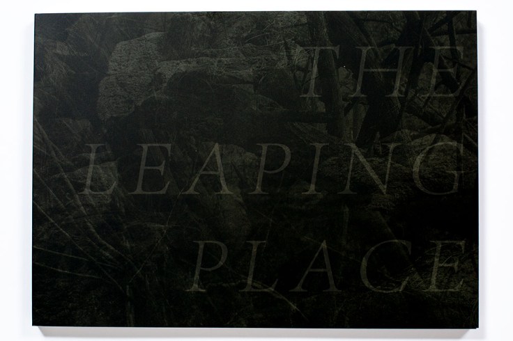 Matt_Shallenberger_The_Leaping_Place_cover