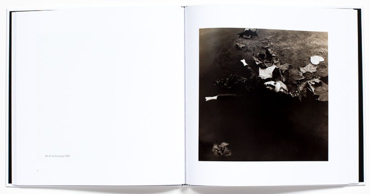 Ralph_Eugene_Meatyard_Stages-For-Being_4