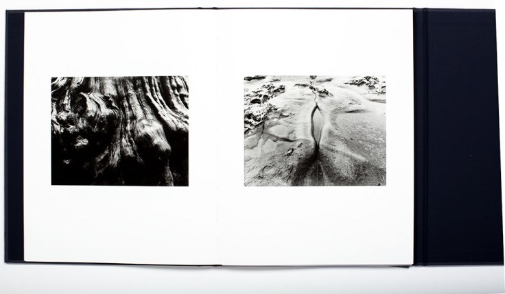 Jakob-de-Boer_Where-Ravens-Cry_4