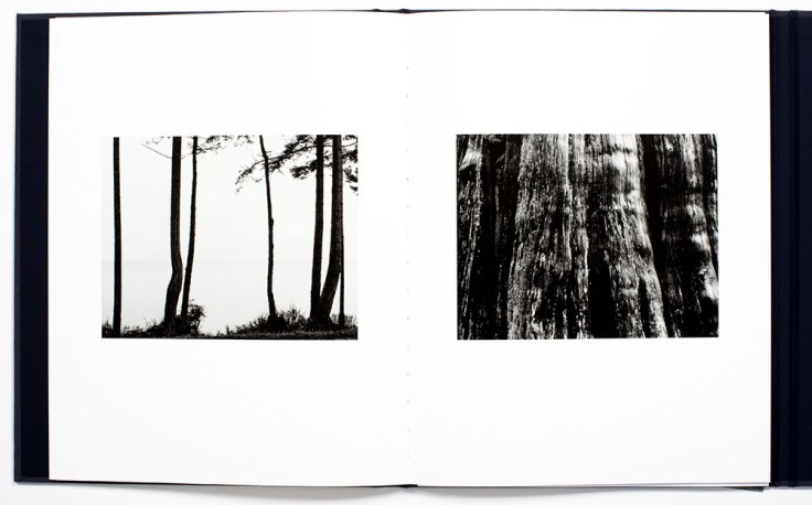 Jakob-de-Boer_Where-Ravens-Cry_8