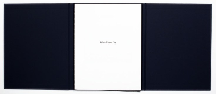Jakob-de-Boer_Where-Ravens-Cry_tri-cover