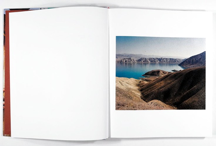 Sebastian_Rogowski-Suicidal_Birds_1