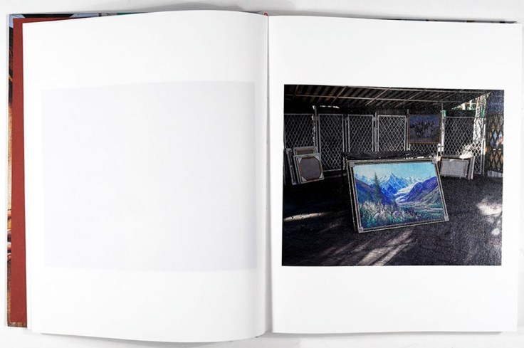 Sebastian_Rogowski-Suicidal_Birds_2