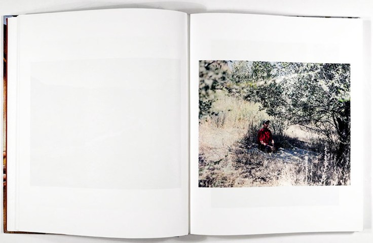 Sebastian_Rogowski-Suicidal_Birds_5