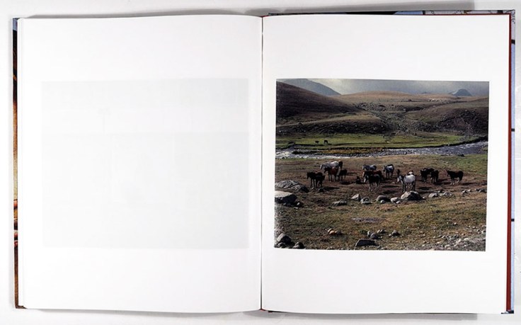 Sebastian_Rogowski-Suicidal_Birds_9