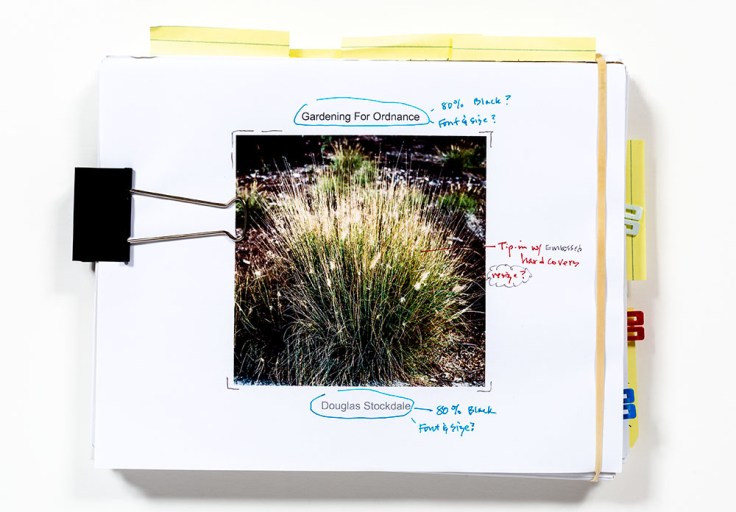 08-31-20 Gardening For Ordnance dummy cover KI6A8684