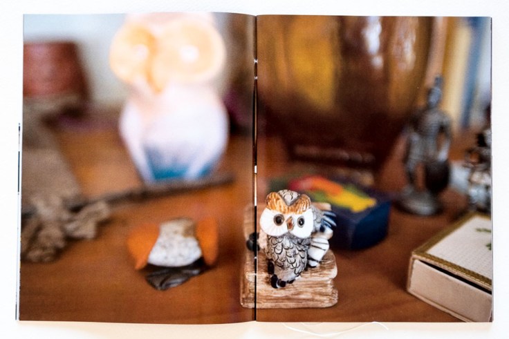 Lukas_Birk-House_No_6_3