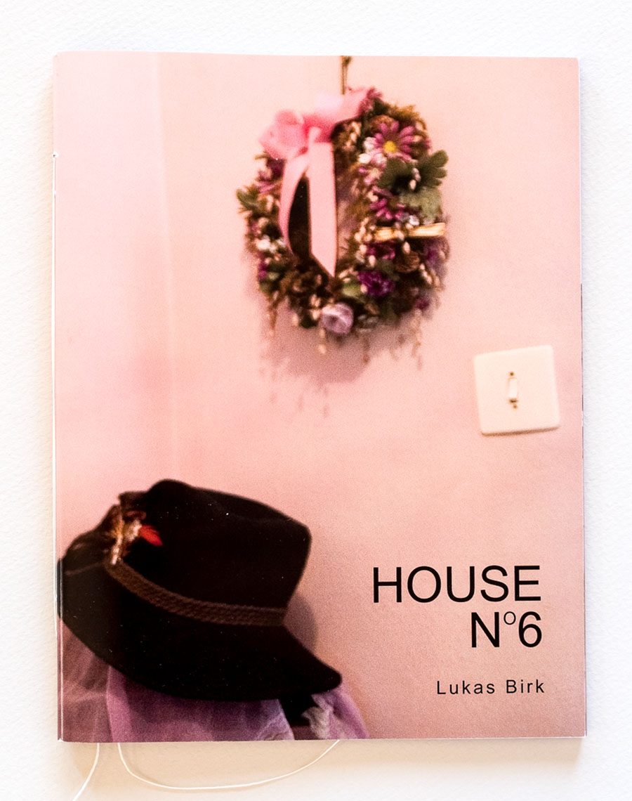 Lukas_Birk-House_No_6_cover-1