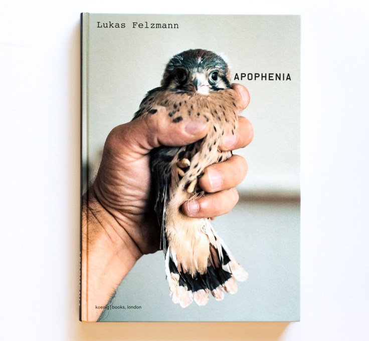 Lukas_Felzmann-Apophenia_cover