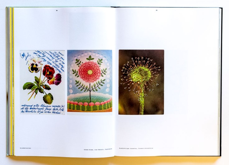 Lukas_Felzmann-Opophenia_6