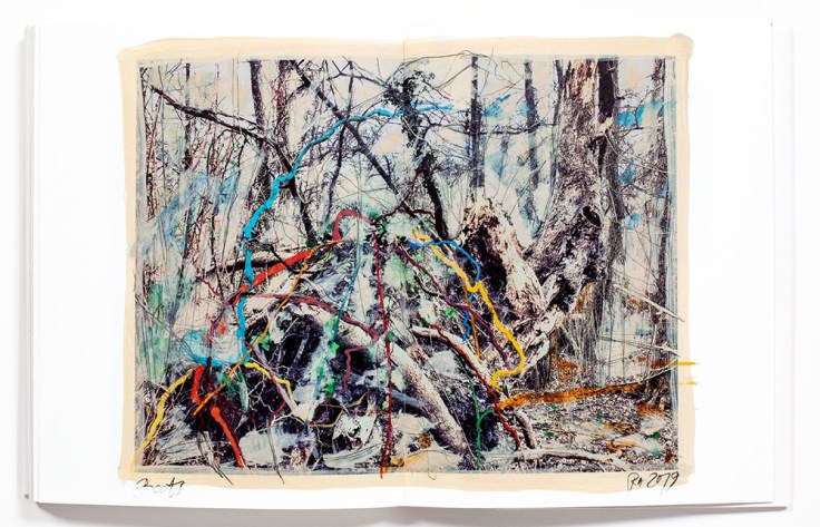 Regina_Anzenberger-Shifting_Roots_10