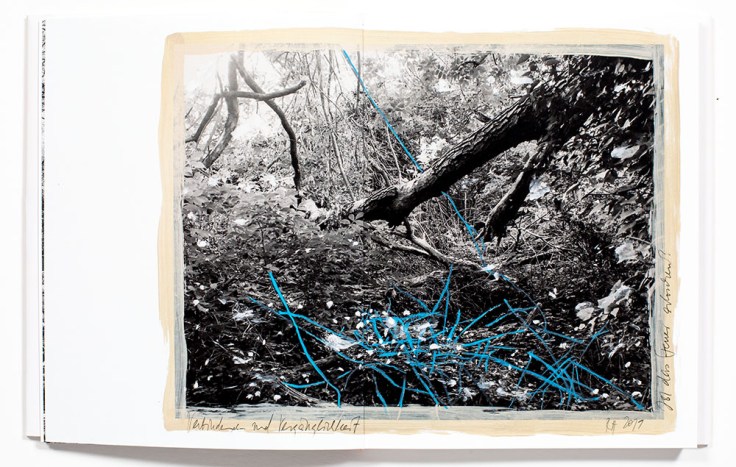 Regina_Anzenberger-Shifting_Roots_5