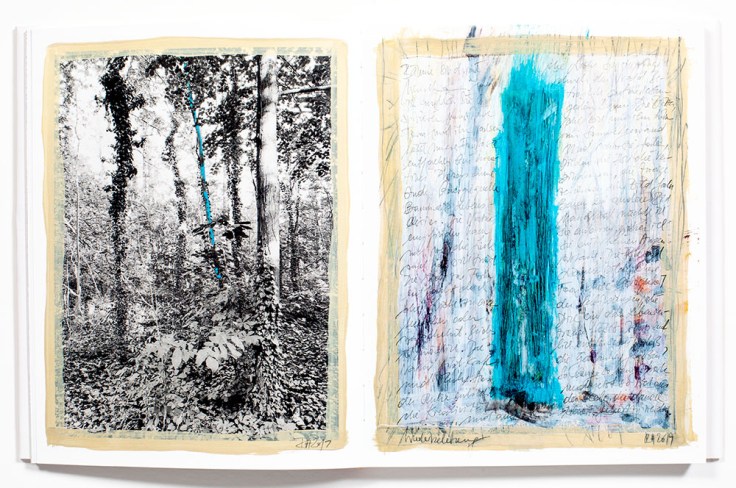 Regina_Anzenberger-Shifting_Roots_7