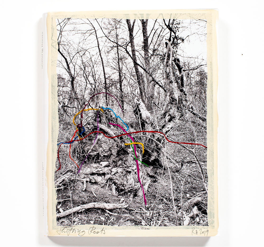 Regina_Anzenberger-Shifting_Roots_cover