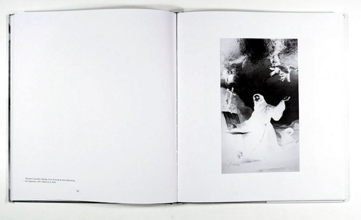 Vera_Lutter-Museum_in_Camera_5