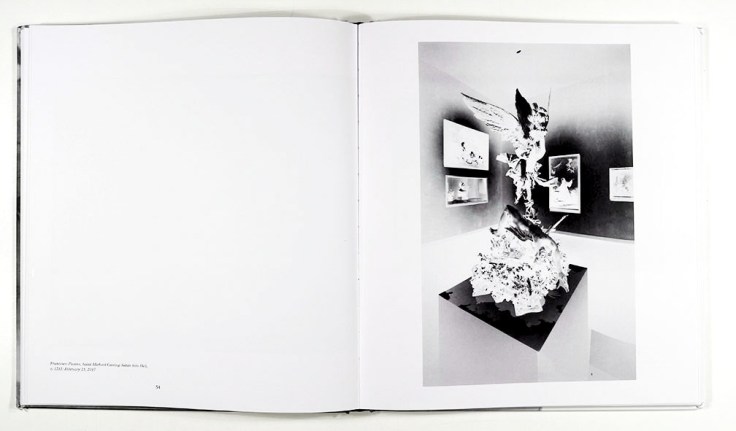 Vera_Lutter-Museum_in_Camera_8