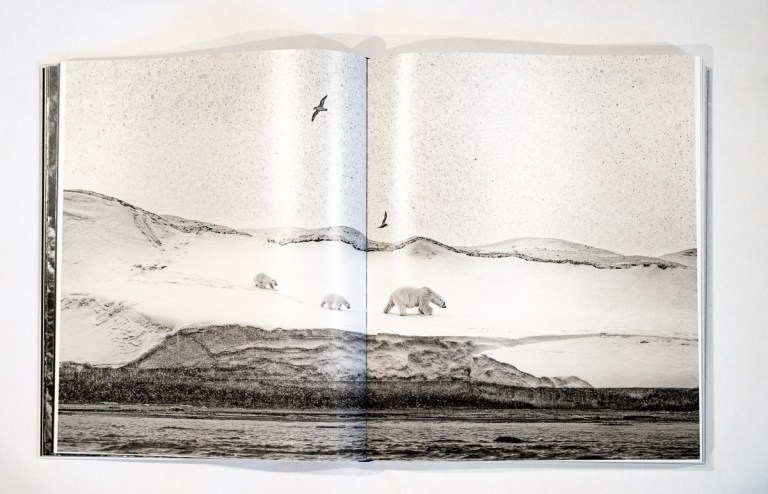 Reverrence Paul Nicklen — Reverence – PhotoBook Journal